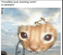 Cat Boom GIF - Cat Boom Cat In Sky GIFs