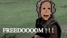 a pixelated image of a man with the words freedoooom !!!