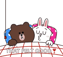 Brown Cony GIF - Brown Cony Good Night GIFs