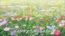 a field of flowers with the words happy sabbath written on it