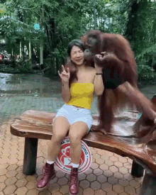 Monkey Hug GIF - Monkey Hug Funny GIFs