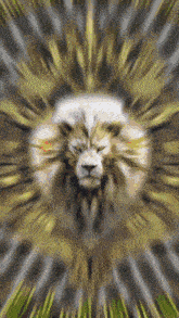 a lion 's head is surrounded by a sunburst of light