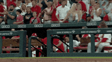Willson Contreras Clapping Hands St Louis Cardinals Celebration GIF - Willson Contreras Clapping Hands St Louis Cardinals Celebration GIFs