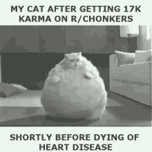 big cat karma heart disease