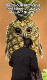 Pineowl Pineowl Meme GIF - Pineowl Pineowl Meme Pineapple Owl GIFs