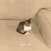 Bye Byeasf GIF - Bye Byeasf Cat GIFs