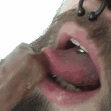 Snickers Licking GIF - Snickers Licking GIFs