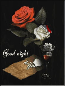 a good night greeting card with a red rose and a butterfly