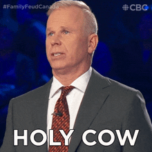Holy Cow Gerry Dee GIF