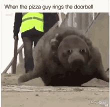 Pizza When Pizza Guy Rings The Door Berll GIF