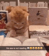 a cat laying on top of a book with the words his ass is not reading below it
