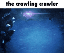 a picture of a crawling crawler is displayed on a blue background