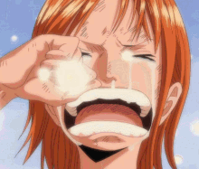 One Piece Anime GIF