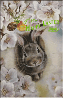 a picture of a rabbit with the words happy easter on it