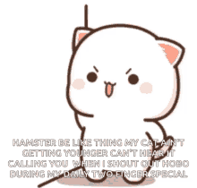 Hamster Thing GIF - Hamster Thing Cat GIFs