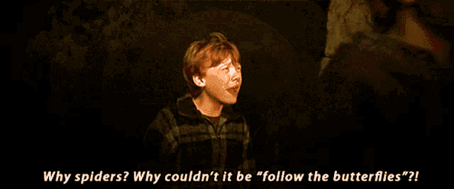 Harry Potter: Why Ron Weasley Is Afraid Of Spiders?