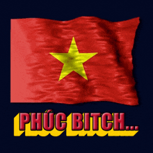 a red flag with a yellow star and the words phục bitch on the bottom