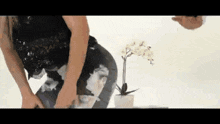 a woman in a black top and floral pants is kneeling down in front of a potted plant .