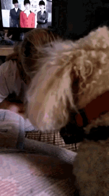 a dog with a red collar is licking a person 's face