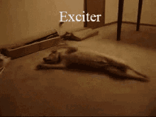Exciter GIF - Exciter GIFs