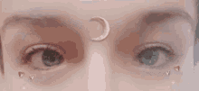 Good And Evil Eyes GIF - Good And Evil Eyes Raised Eyebrows GIFs
