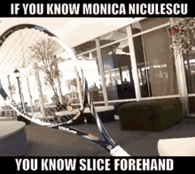 monica niculescu slice forehand tennis romania wta