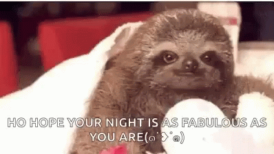 sloth excellent meme