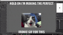 Meme Ironic GIF - Meme Ironic Perfect GIFs