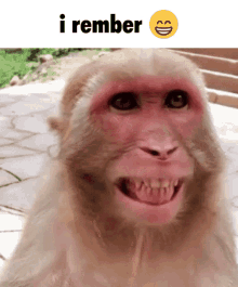 I Rember I Remember GIF - I Rember I Remember I Forgor - Discover & Share  GIFs