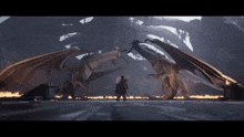 a video game scene with two dragons and a knight