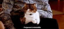 New Girl Cat GIF - New Girl Cat Furguson Is Miserable GIFs