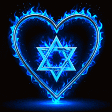 Love Israel Love GIF
