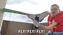 Fly Fly Fly Ricky Berwick GIF - Fly Fly Fly Ricky Berwick Ricky Berwick Vlog GIFs