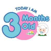 Tiny Buds Today I Am 3 Months Old Sticker