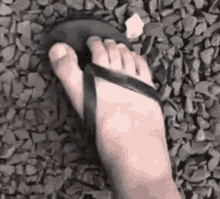 Foot Finger GIF - Foot Finger Flip GIFs