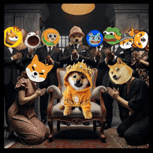 Dog Dog Meme GIF