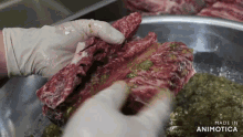a person is holding a piece of meat in front of a made in animatica sign
