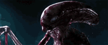 Alien Xenomorph GIF - Alien Xenomorph Alien Covenant GIFs