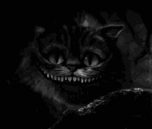 Cheshirecat GIF - Cheshirecat GIFs