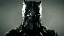 Black Panther Marvel GIF - Black Panther Marvel Panther GIFs