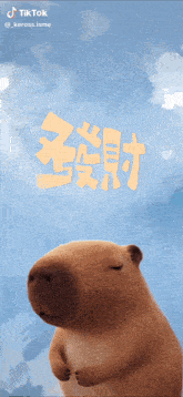 a picture of a capybara with its eyes closed and the words tiktok on the bottom right
