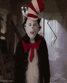 a cat in the hat costume with a red bow