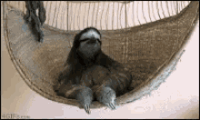 Dealwithit Sloth GIF - Dealwithit Sloth Swing GIFs
