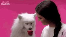 Cute Dog Smell Flowers GIF - Cute Dog Smell Flowers Smell Of A Rose GIFs