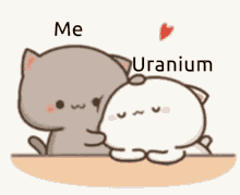 Cat Cuddle GIF - Cat Cuddle Uranium GIFs