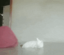 a person is laying on a bed with a pink blanket on top of them .