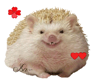 Hérisson Hedgehog Sticker