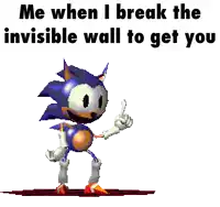 a pixelated image of sonic the hedgehog with a caption that says me when i break the invisible wall to get you