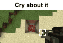 Cry About It Minecraft Cry About It GIF - Cry About It Minecraft Cry About It Techguns GIFs