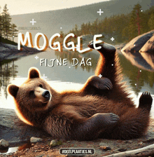 a bear is laying on its back in front of a lake with the words moggle fijne dag below it